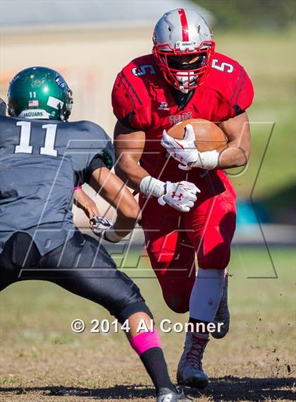 Thumbnail 2 in Suitland @ Flowers photogallery.