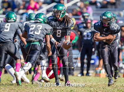 Thumbnail 2 in Suitland @ Flowers photogallery.