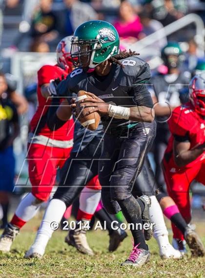 Thumbnail 3 in Suitland @ Flowers photogallery.