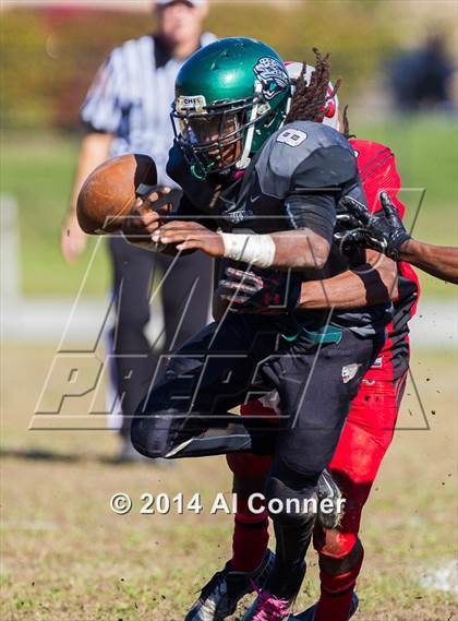Thumbnail 3 in Suitland @ Flowers photogallery.