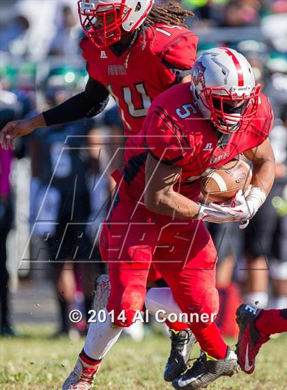 Thumbnail 1 in Suitland @ Flowers photogallery.