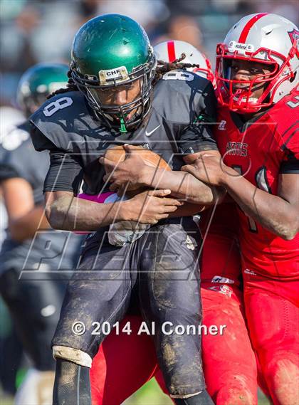 Thumbnail 1 in Suitland @ Flowers photogallery.