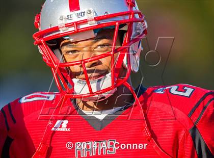 Thumbnail 1 in Suitland @ Flowers photogallery.