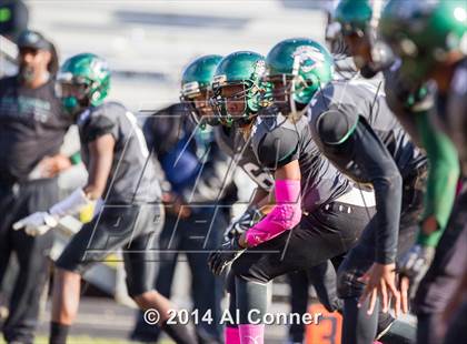 Thumbnail 2 in Suitland @ Flowers photogallery.
