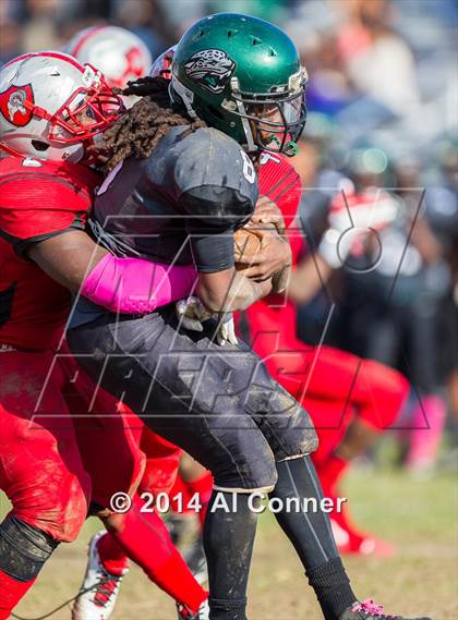 Thumbnail 3 in Suitland @ Flowers photogallery.