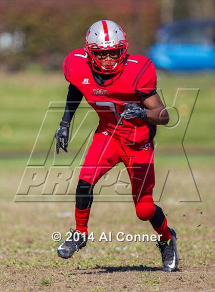 Thumbnail 1 in Suitland @ Flowers photogallery.