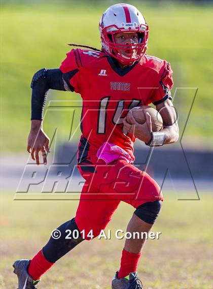 Thumbnail 1 in Suitland @ Flowers photogallery.