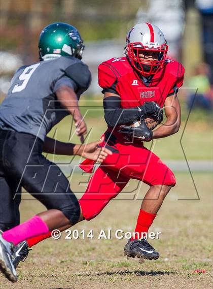 Thumbnail 1 in Suitland @ Flowers photogallery.
