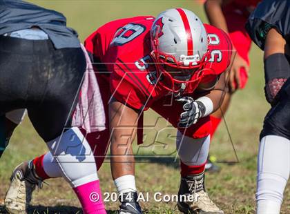 Thumbnail 1 in Suitland @ Flowers photogallery.