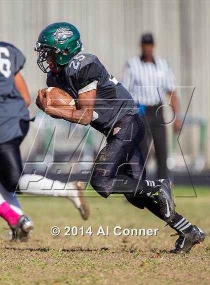 Thumbnail 2 in Suitland @ Flowers photogallery.