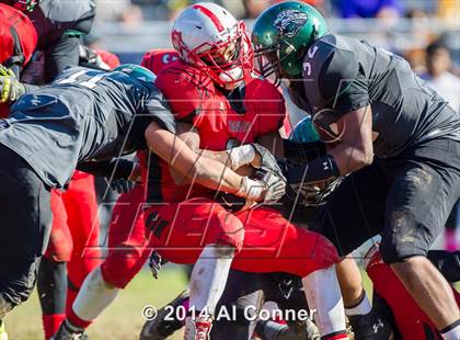 Thumbnail 2 in Suitland @ Flowers photogallery.