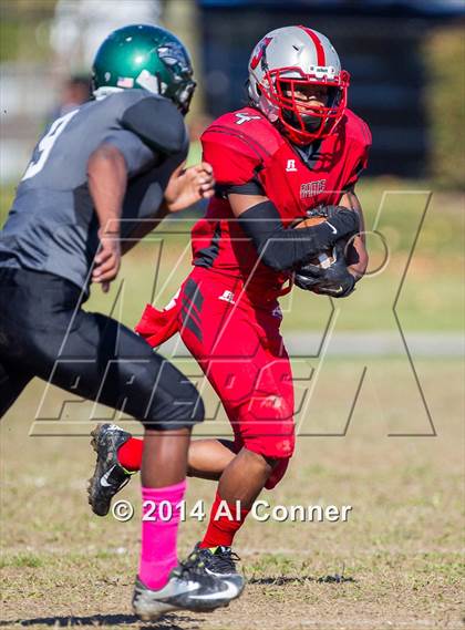 Thumbnail 2 in Suitland @ Flowers photogallery.