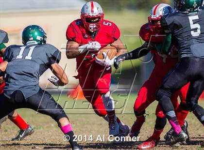 Thumbnail 1 in Suitland @ Flowers photogallery.