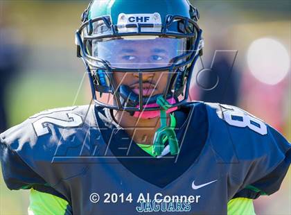 Thumbnail 1 in Suitland @ Flowers photogallery.