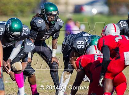 Thumbnail 2 in Suitland @ Flowers photogallery.
