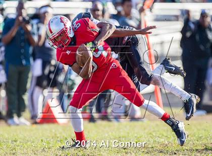 Thumbnail 3 in Suitland @ Flowers photogallery.