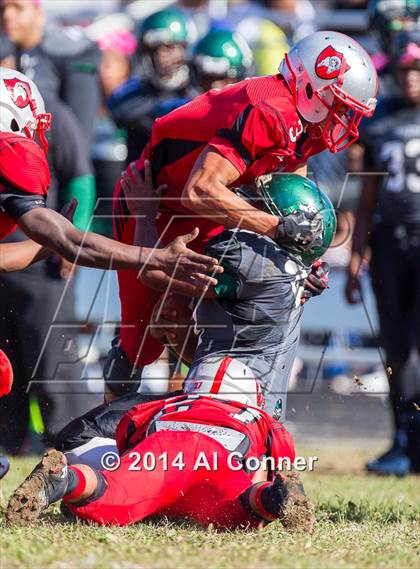 Thumbnail 1 in Suitland @ Flowers photogallery.