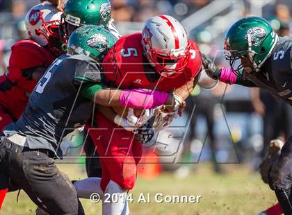 Thumbnail 1 in Suitland @ Flowers photogallery.
