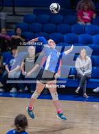 Photo from the gallery "Cotter @ Alpena"