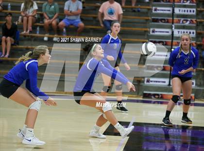 Thumbnail 2 in Carroll @ Northwestern photogallery.