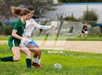 Photo from the gallery "University @ Hamilton"
