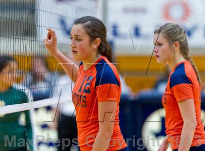 Thumbnail 2 in Brandeis vs. Holmes photogallery.
