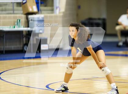 Thumbnail 3 in Churchill vs O'Connor  photogallery.