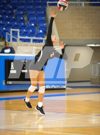Thumbnail 2 in Churchill vs O'Connor  photogallery.