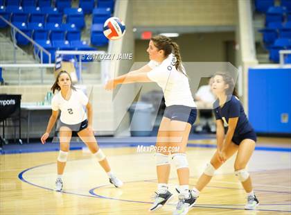 Thumbnail 2 in Churchill vs O'Connor  photogallery.