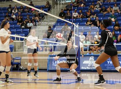 Thumbnail 2 in Churchill vs O'Connor  photogallery.