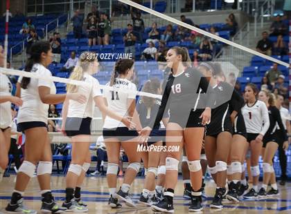 Thumbnail 1 in Churchill vs O'Connor  photogallery.