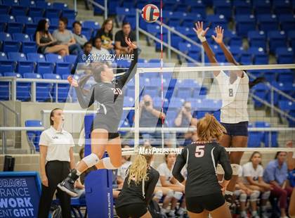Thumbnail 1 in Churchill vs O'Connor  photogallery.