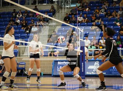 Thumbnail 3 in Churchill vs O'Connor  photogallery.