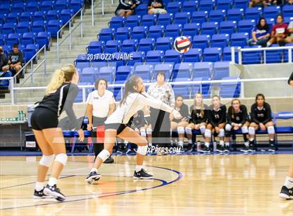 Thumbnail 3 in Churchill vs O'Connor  photogallery.