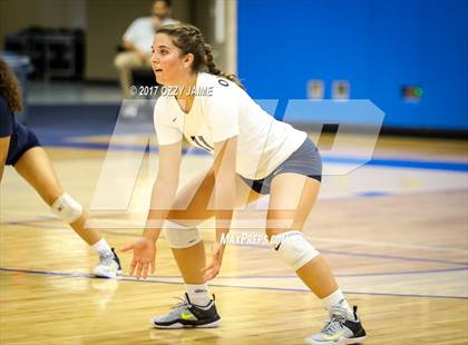 Thumbnail 1 in Churchill vs O'Connor  photogallery.