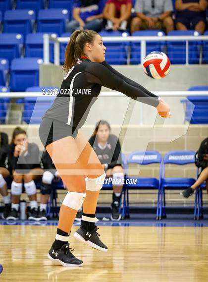 Thumbnail 2 in Churchill vs O'Connor  photogallery.