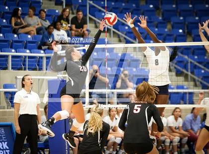 Thumbnail 2 in Churchill vs O'Connor  photogallery.