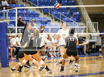 Thumbnail 1 in Churchill vs O'Connor  photogallery.