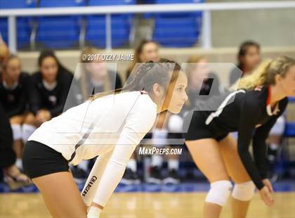 Thumbnail 1 in Churchill vs O'Connor  photogallery.