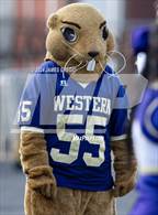 Photo from the gallery "Western Beaver @ Ambridge"