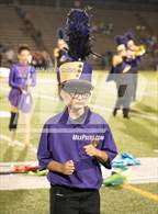 Photo from the gallery "Western Beaver @ Ambridge"