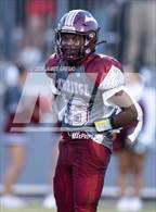 Photo from the gallery "Western Beaver @ Ambridge"