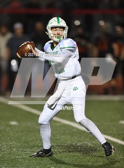 Thumbnail 3 in Mogadore vs. Springfield (OHSAA D6 Regional Final) photogallery.