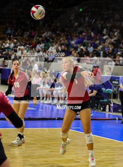 Thumbnail 1 in Merino vs. Dove Creek (CHSAA 1A Round 2) photogallery.