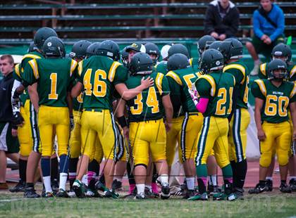 Thumbnail 1 in Bear River @ Placer photogallery.