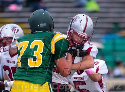 Thumbnail 1 in Bear River @ Placer photogallery.