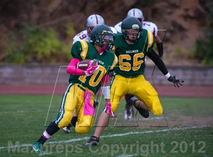 Thumbnail 3 in Bear River @ Placer photogallery.