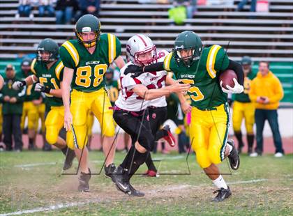 Thumbnail 1 in Bear River @ Placer photogallery.