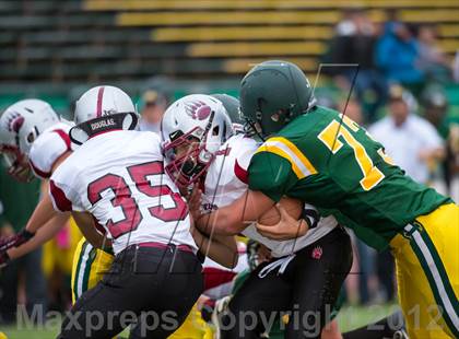 Thumbnail 2 in Bear River @ Placer photogallery.