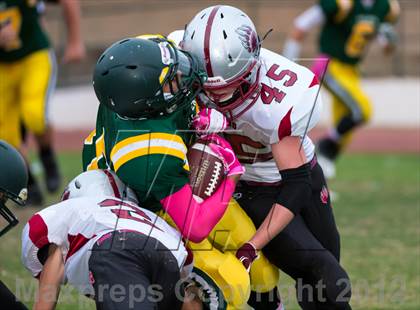 Thumbnail 2 in Bear River @ Placer photogallery.